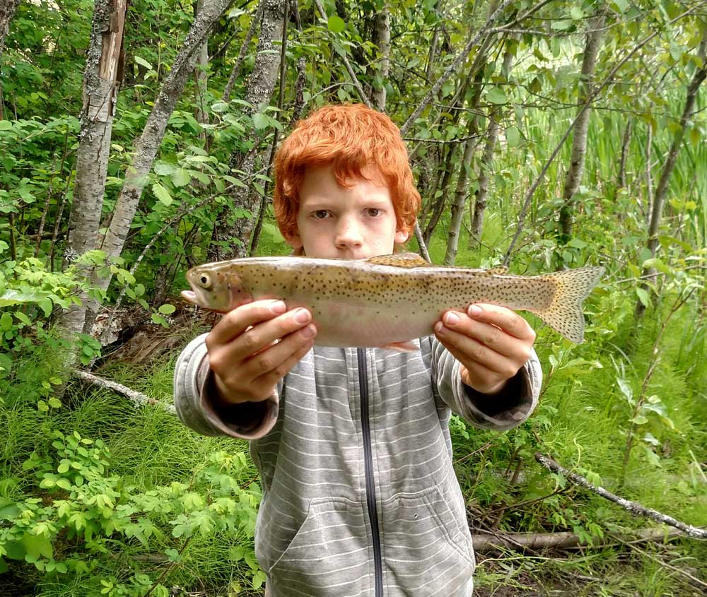 Caught fish ready for the smoker