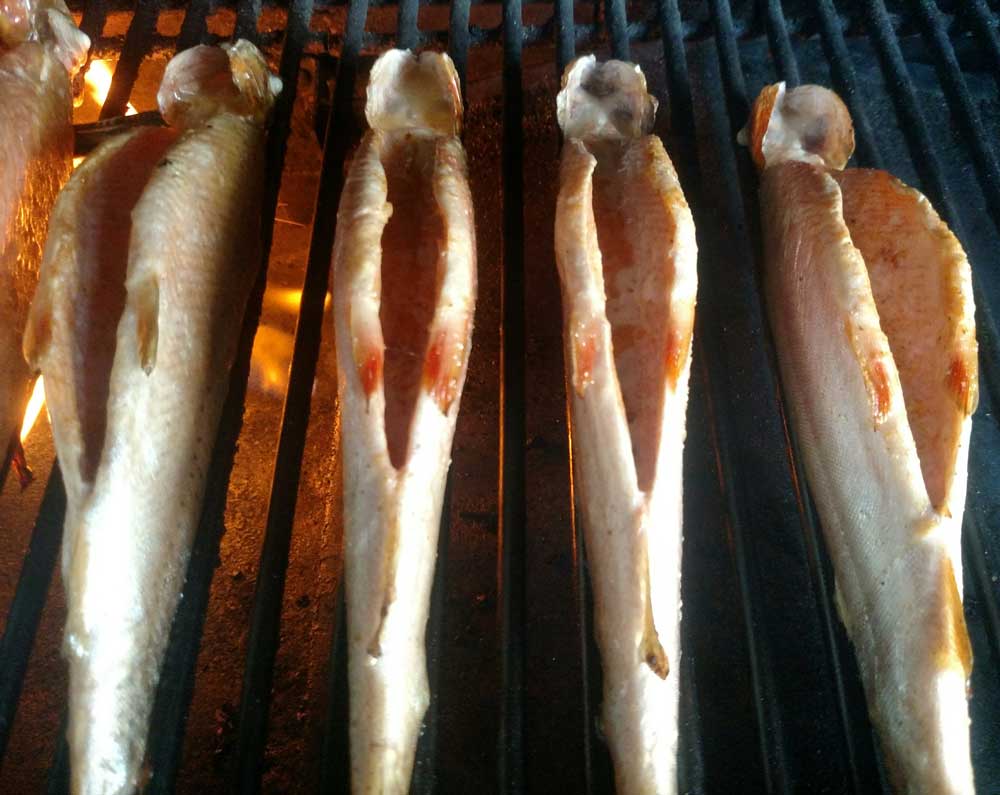 Trout on the grill